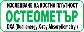 button green 202304041